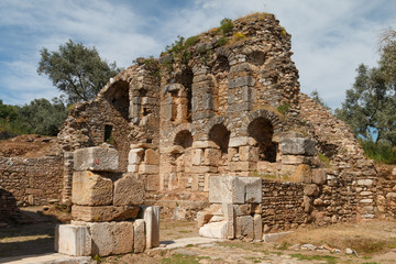 Naklejka premium Ruins of the ancient town Nysa on the Maeander, Turkey