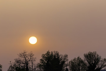 Obraz premium Sunset with sand suspended in the atmosphere, coluring the sky red, over some trees silhouettes and power lines