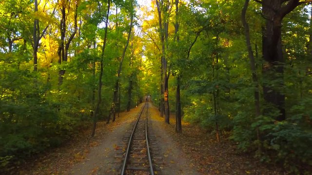 Rail road way in empty autumn forest