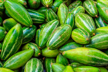 Heap of pointed gourd ( POTOL PARWAL )