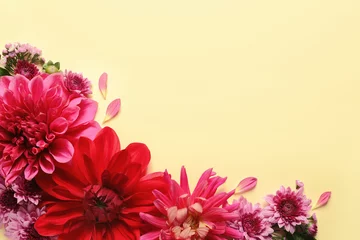 Papier Peint photo Lavable Dahlia Flat lay composition with beautiful dahlia flowers and space for text on color background