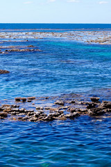 Reef exposed at low tide at the Great Barrier Reef, Australia.