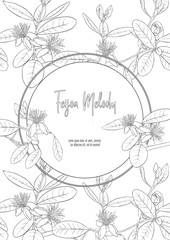 Pattern, background with with feijoa flowers