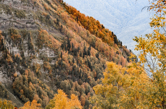 Autumn has come in the mountains7