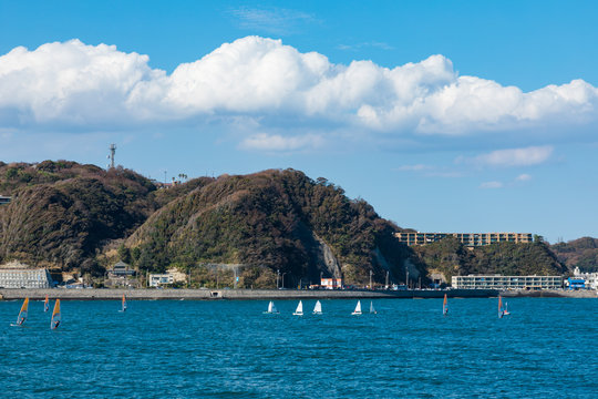 (神奈川県ｰ風景)葉山港から見る逗子海岸の風景１１