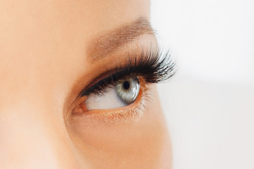 Female eye with extreme long false eyelashes and black liner. Eyelash extensions, make-up,...