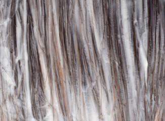 Brown hair coloring closed up background