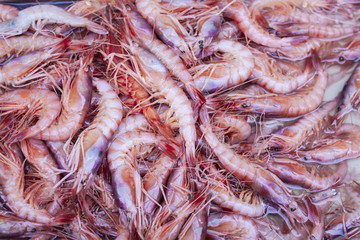 Fresh red shrimps prawns for sale in the fish market of Catania, Sicily, Italy