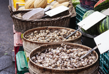 Raw snails alive for sale in the fish market of Catania, Sicily, Italy