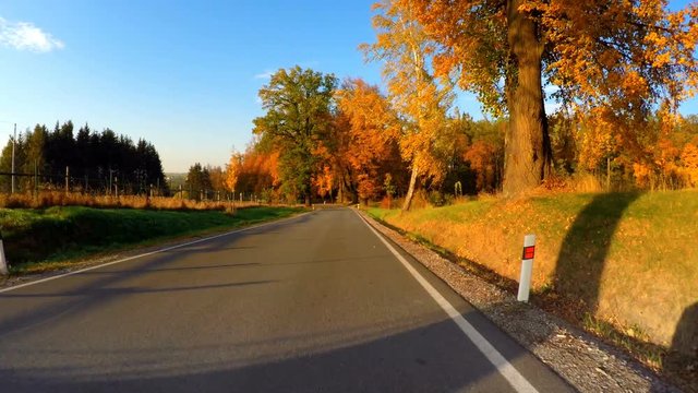 car drive in autumn landscape with fall colored trees and blue sky in sunny day. Countryside road. Fall concept
