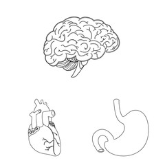 Vector design of body and human logo. Collection of body and medical stock symbol for web.