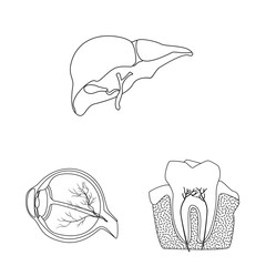 Isolated object of body and human symbol. Collection of body and medical stock symbol for web.