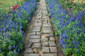 Stone walkway in flower garden.