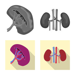 Isolated object of body and human symbol. Set of body and medical stock symbol for web.