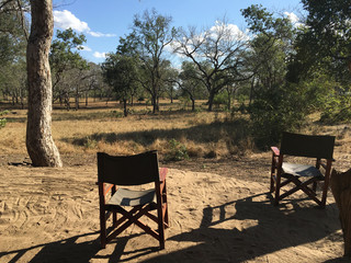 Safari in Malawi