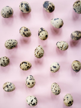 Composed quail eggs on pink