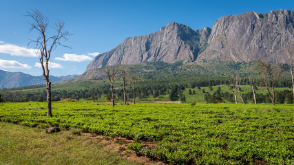 Landschaft in Malawi