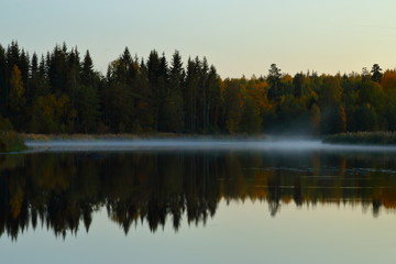 Naklejka na ściany i meble reflection of trees in the lake
