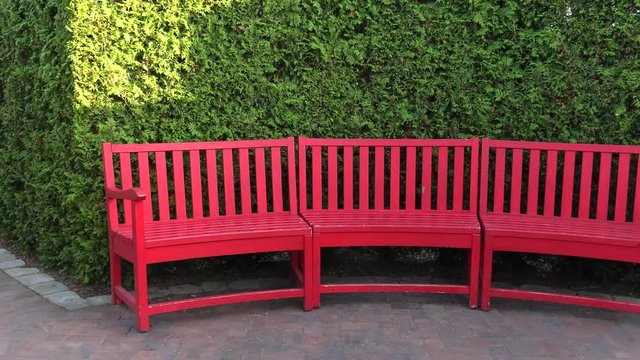 Red bench standing in a park. 4K, UHD, 50p, Cinematic,						