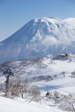 Gondola and trees in ski field