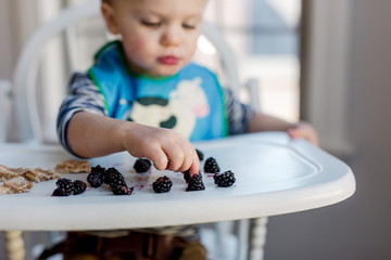 toddler eating a healthy snack