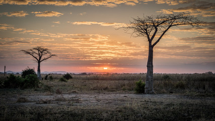 Naklejka na ściany i meble Sonnenuntergang in Malawi