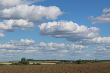 field and blue sky