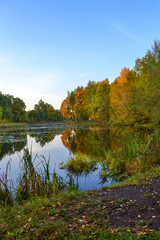 Beautiful autumn landscape. Lake, yellow and red trees by the lake. Reflection in water. Blue sky. Sunny autumn day