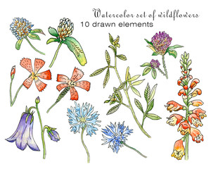 Watercolor set of red roses. Isolated on white background. Flower elements from buds, leaves and flowering plants. Botanical illustration.