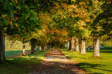 Weg auf einem herbstlichen Golfplatz