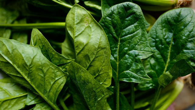 Freshly picked organic spinach and sweet potatoes