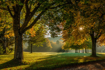 Sonnenaufgang über dem Golfplatz