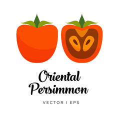 Persimmon vector editable illustration, Oriental brown type. Kaki drawn in flat simple style.