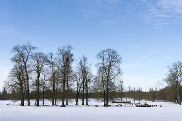 Fototapeta na wymiar Versailles Chateau in the Snow