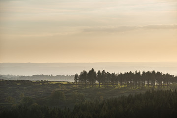 Fototapeta na wymiar Stunning Autumn sunset landscape image of view from Leather Tor in Dartmoor National Park