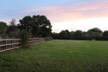 Paddock dawn pink sky