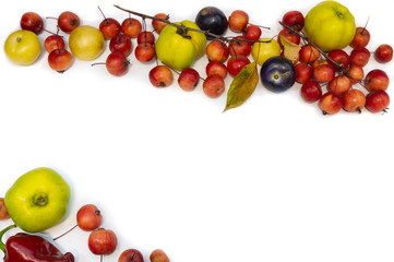 Multicolored fruit berries frame. For recipes