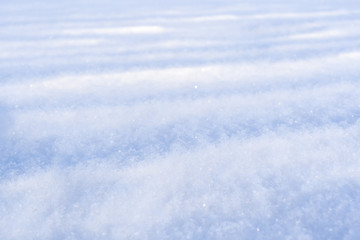 Fototapeta premium on fluffy freshly fallen white snow. Selective focus.