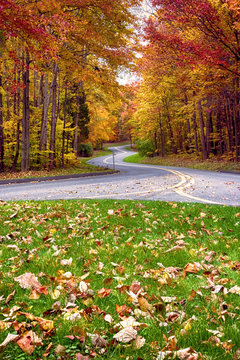 Fall Foliage in Black Hill National Park, Germantown Maryland