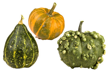 Green and orange gourds