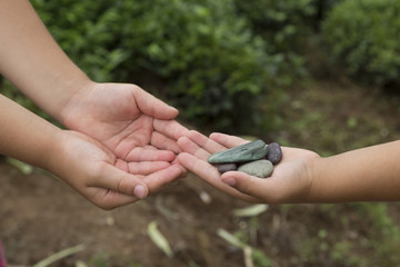 The child hold the stones and give each other.stones on the hand. 