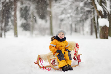 Fototapeta na wymiar Little boy enjoying a sleigh ride