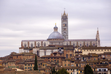 Fototapeta na wymiar Siena, city in Tuscany, Italy. 