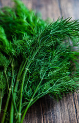 Organic food concept