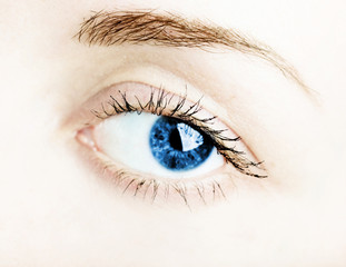 Fototapeta premium Female eye with long eyelashes