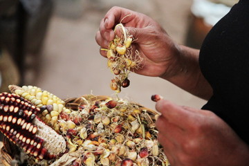 chicha corn beer brew