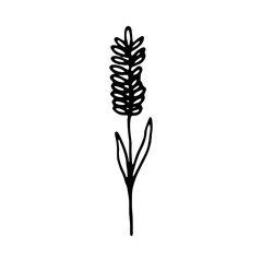 sprout icon. plant isolated object
