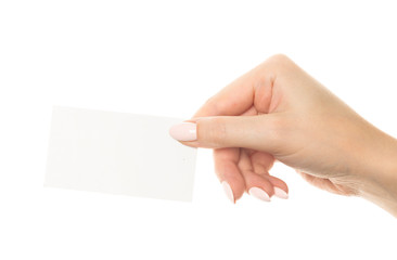 hand holding blank card