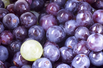 full frame of  wet strawberry grapes