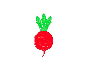 Beetroot vector logo, vegetables logo